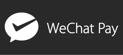 Payment logo 2